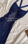 Navy Beaded Peacock Motif Maxi Dress with Tulle Skirt