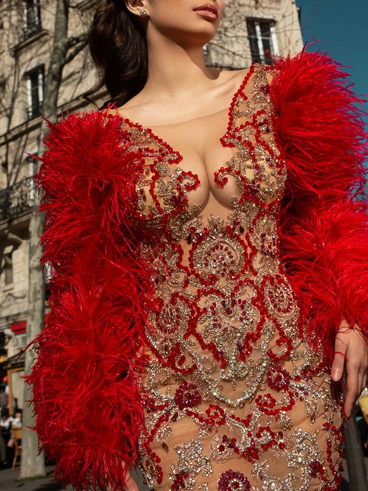 Fashion V-Neck Embroidered See-Through Feathers Long Sleeve Mini Dress