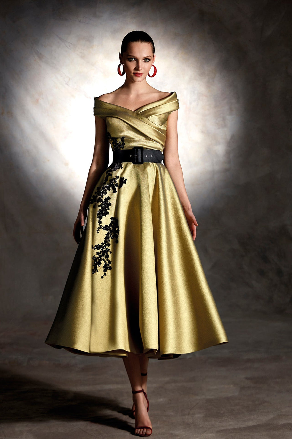 Pleated bodice embroidered midi dress