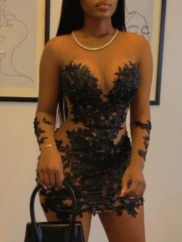 Sexy Long Sleeve See-Through Shiny Jacquard Round-Neck Evening Mini Dress