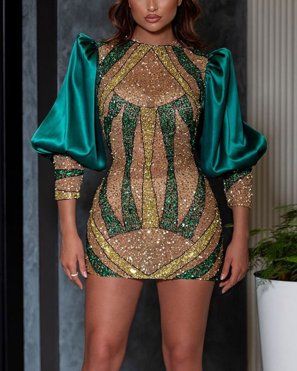 Embroidered Sequined Mini Dress