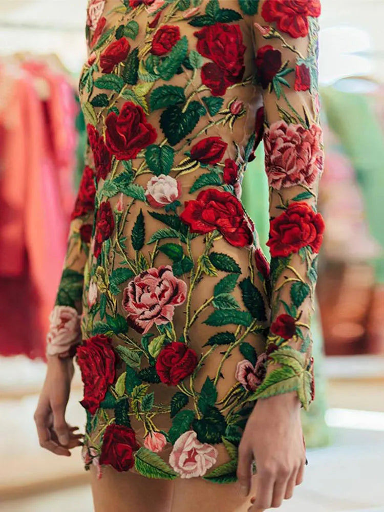 Embroidered Lace Mini Dress
