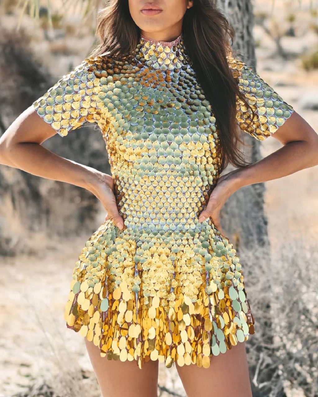 Shiny Lens Short Sleeve Mini Dress